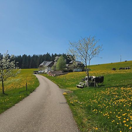 Lorenzenhäusle Titisee-Neustadt Exterior foto