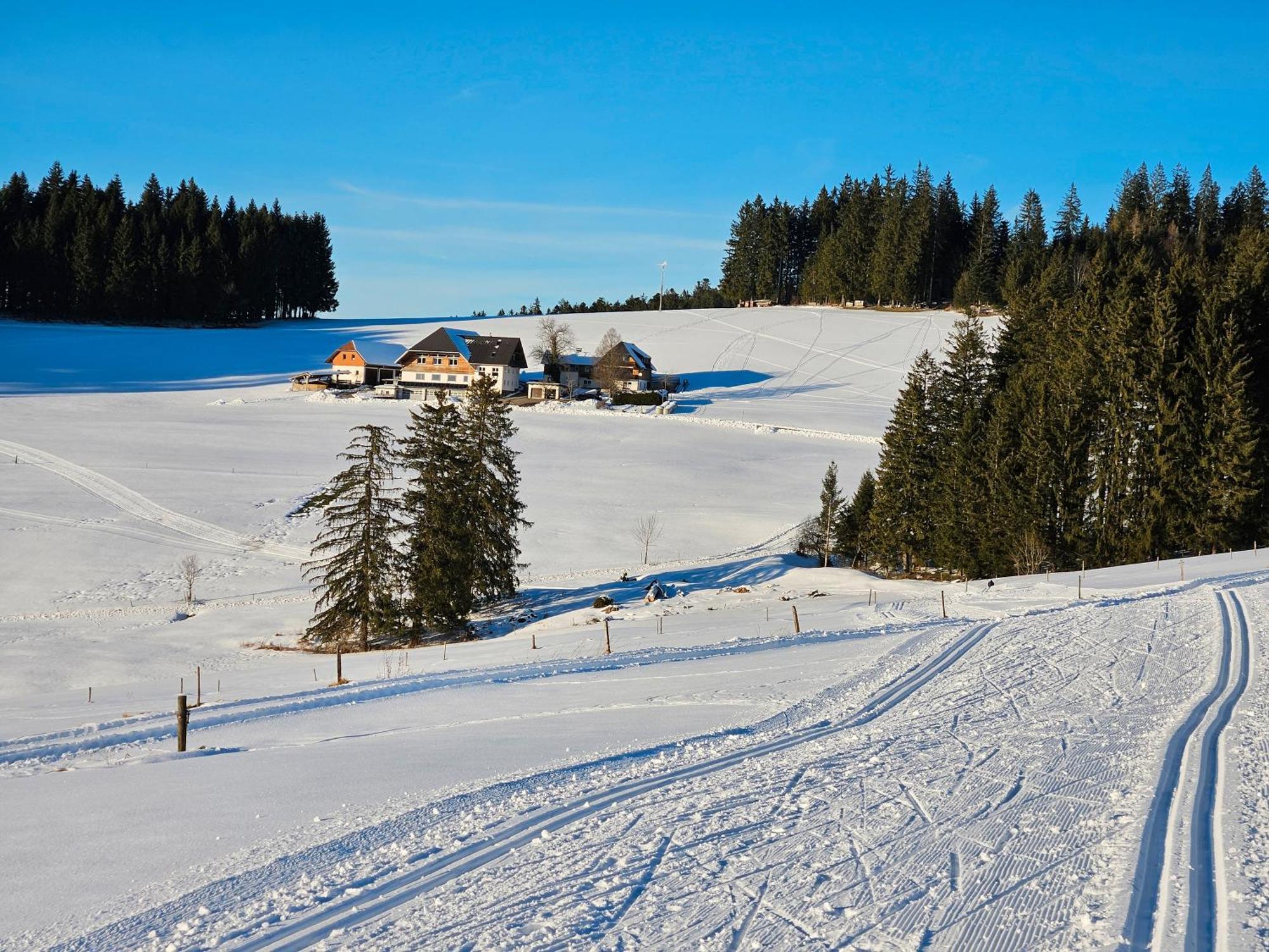 Lorenzenhäusle Titisee-Neustadt Exterior foto