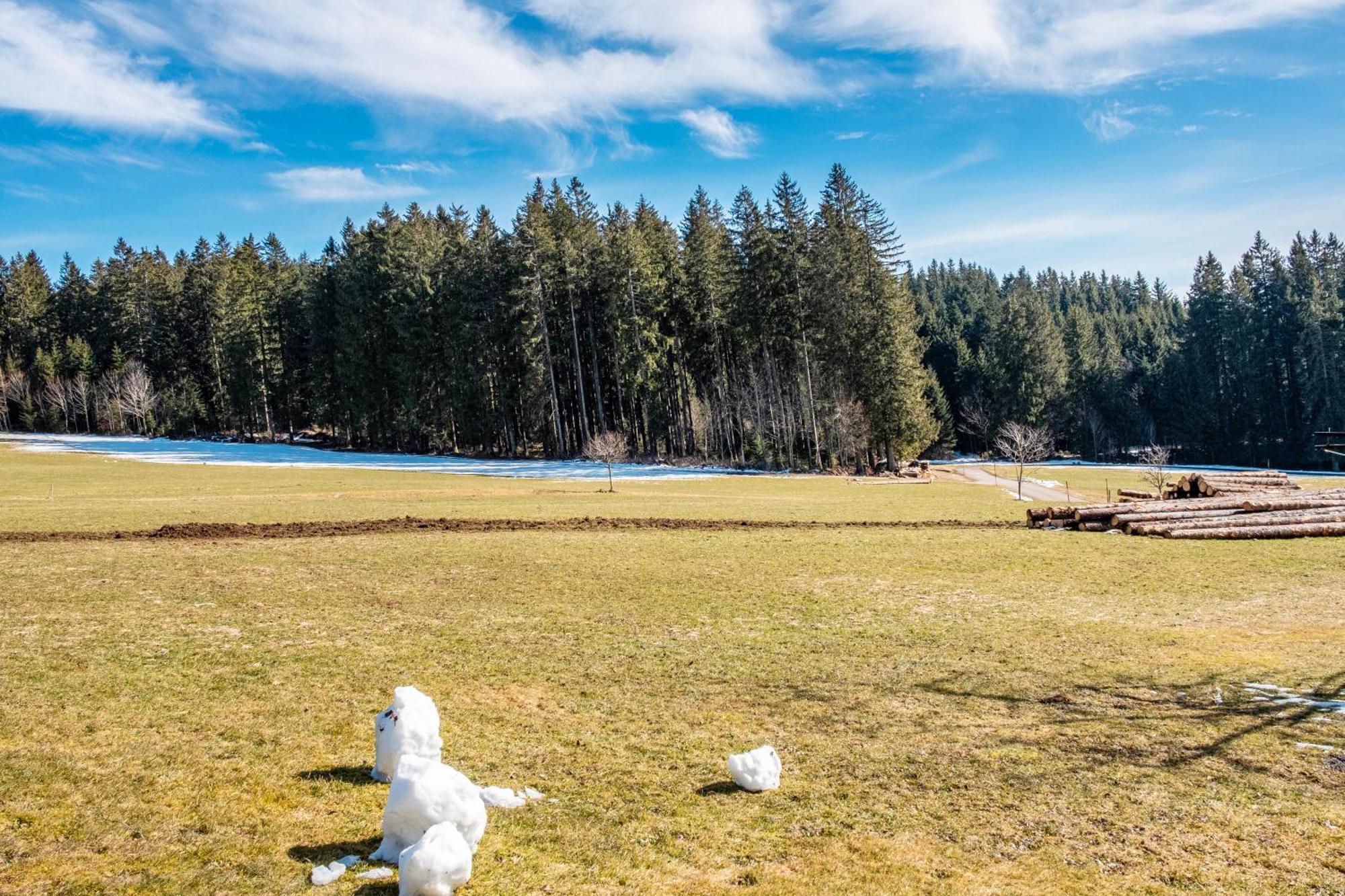 Lorenzenhäusle Titisee-Neustadt Exterior foto
