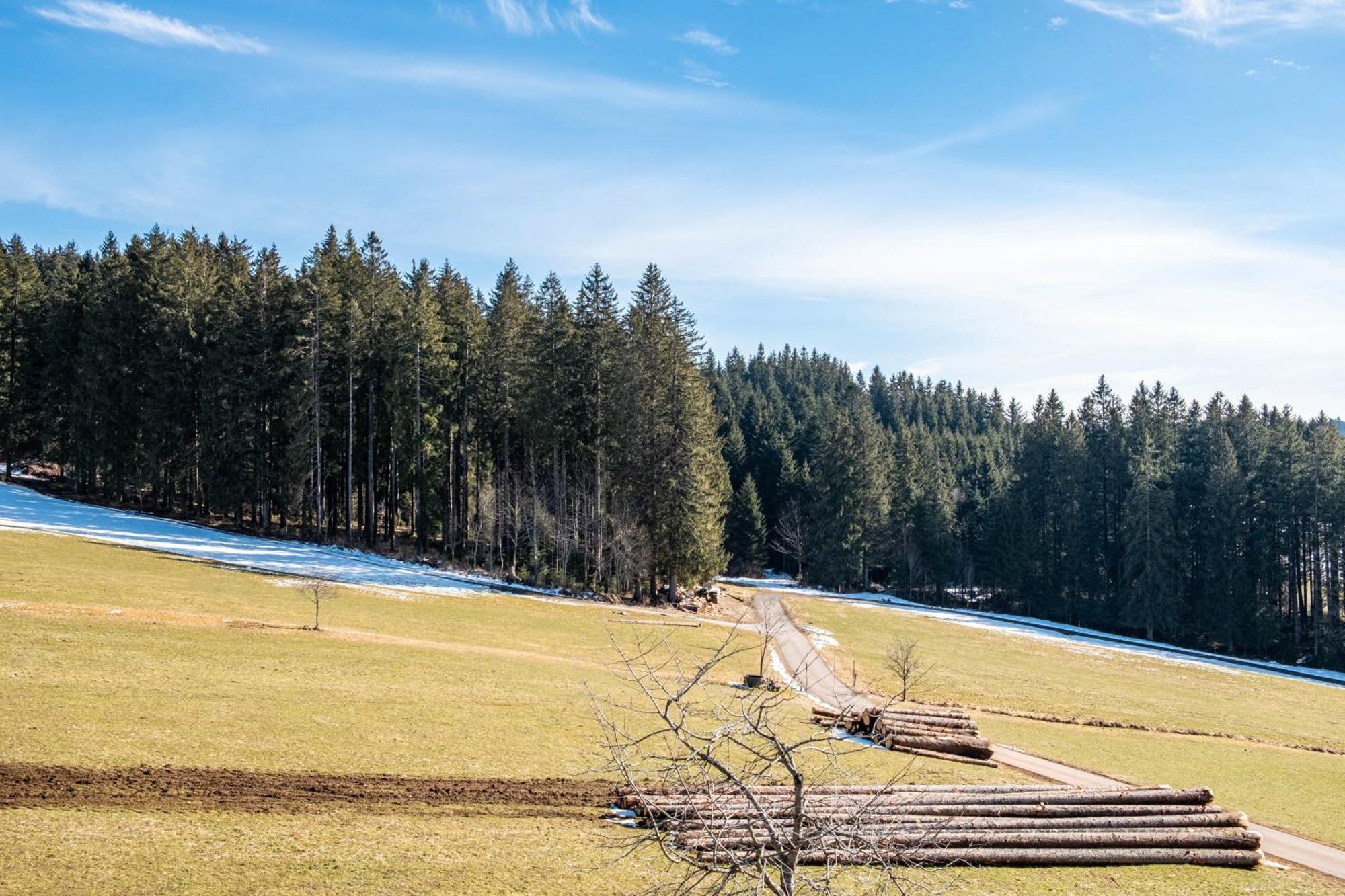 Lorenzenhäusle Titisee-Neustadt Exterior foto