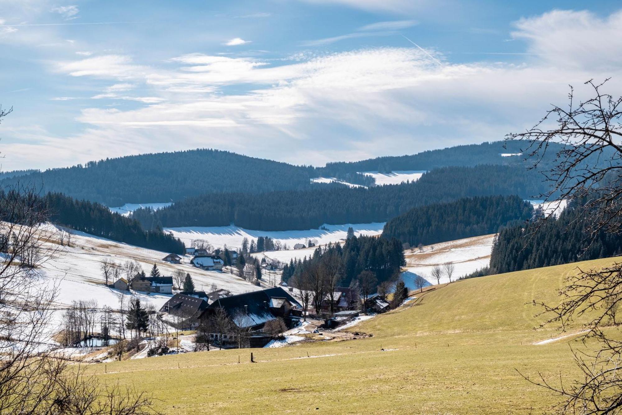 Lorenzenhäusle Titisee-Neustadt Exterior foto