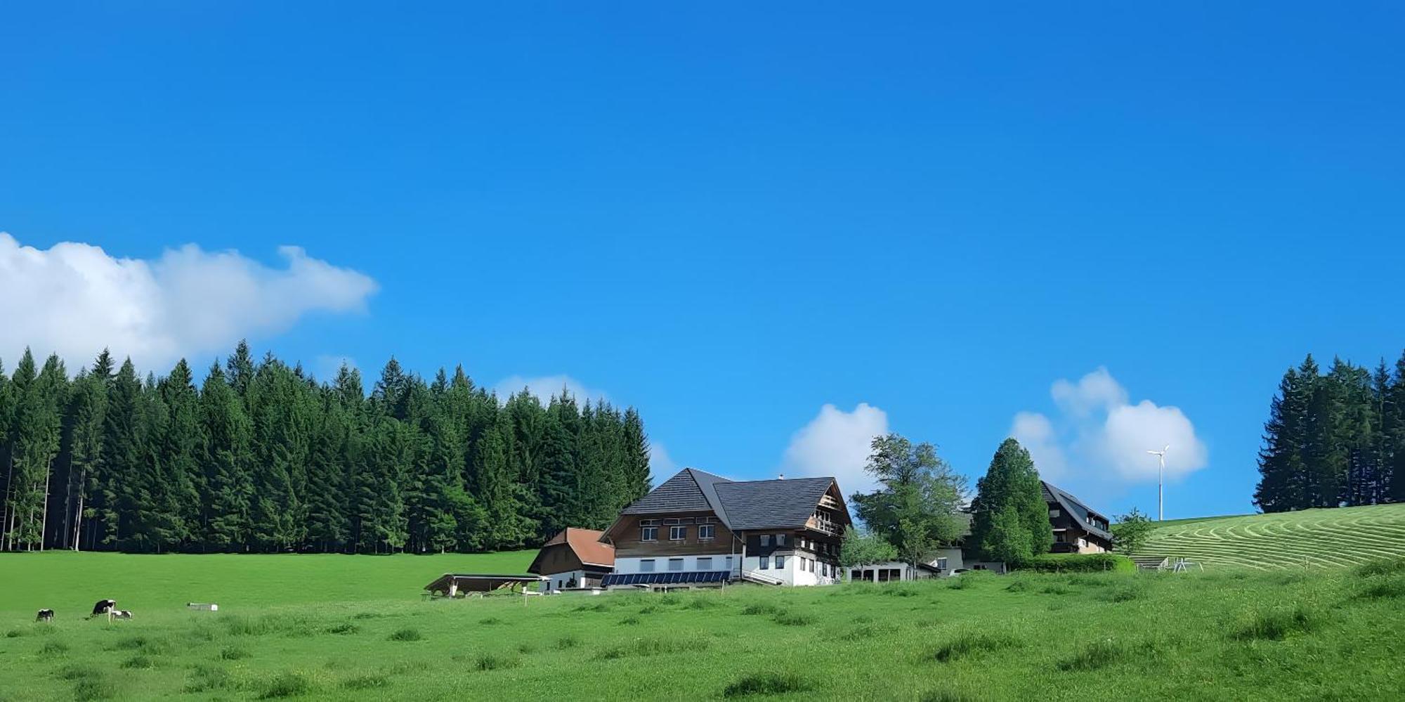 Lorenzenhäusle Titisee-Neustadt Exterior foto