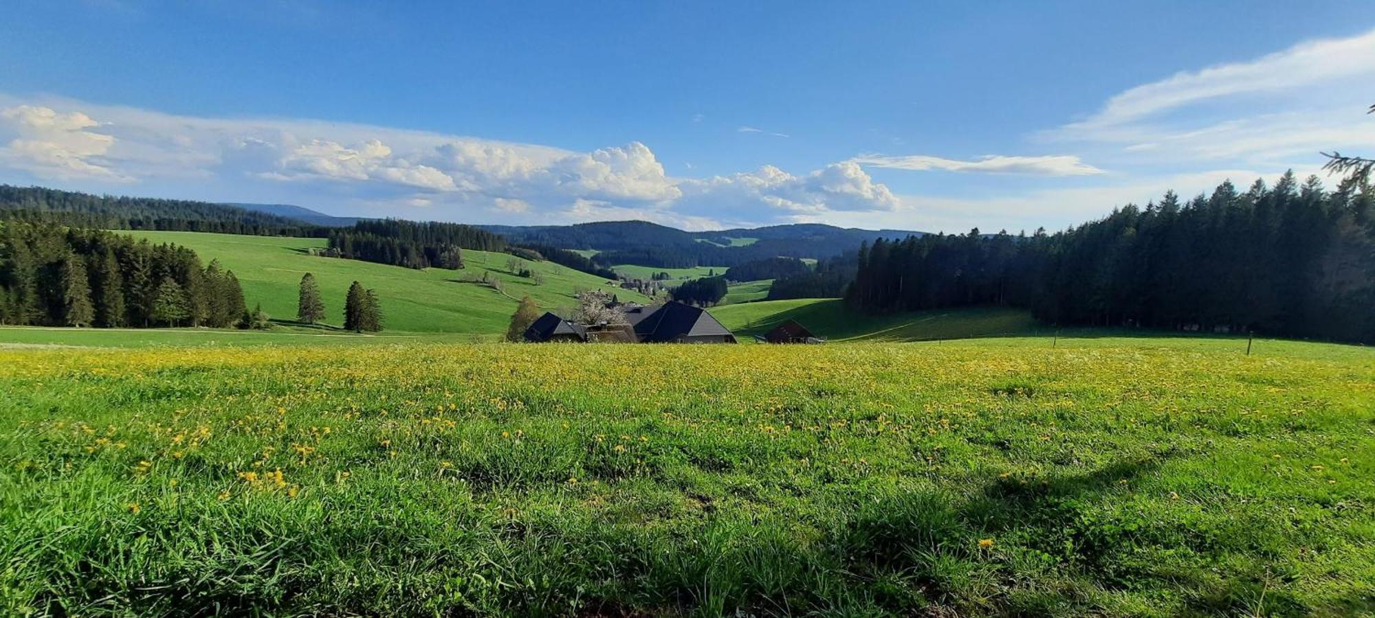 Lorenzenhäusle Titisee-Neustadt Exterior foto
