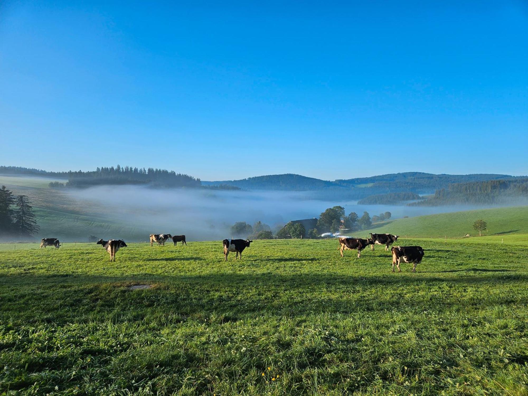 Lorenzenhäusle Titisee-Neustadt Exterior foto