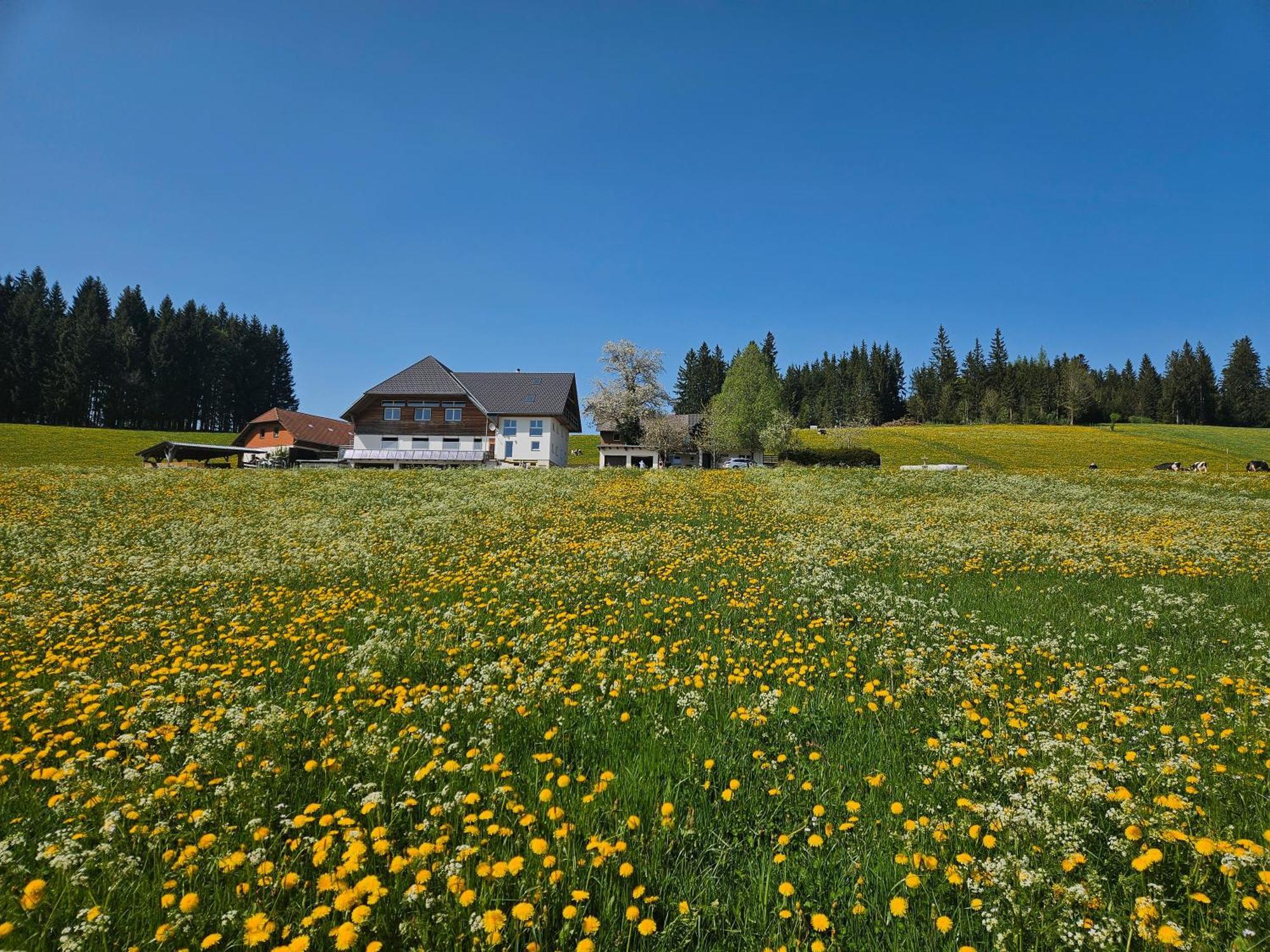 Lorenzenhäusle Titisee-Neustadt Exterior foto