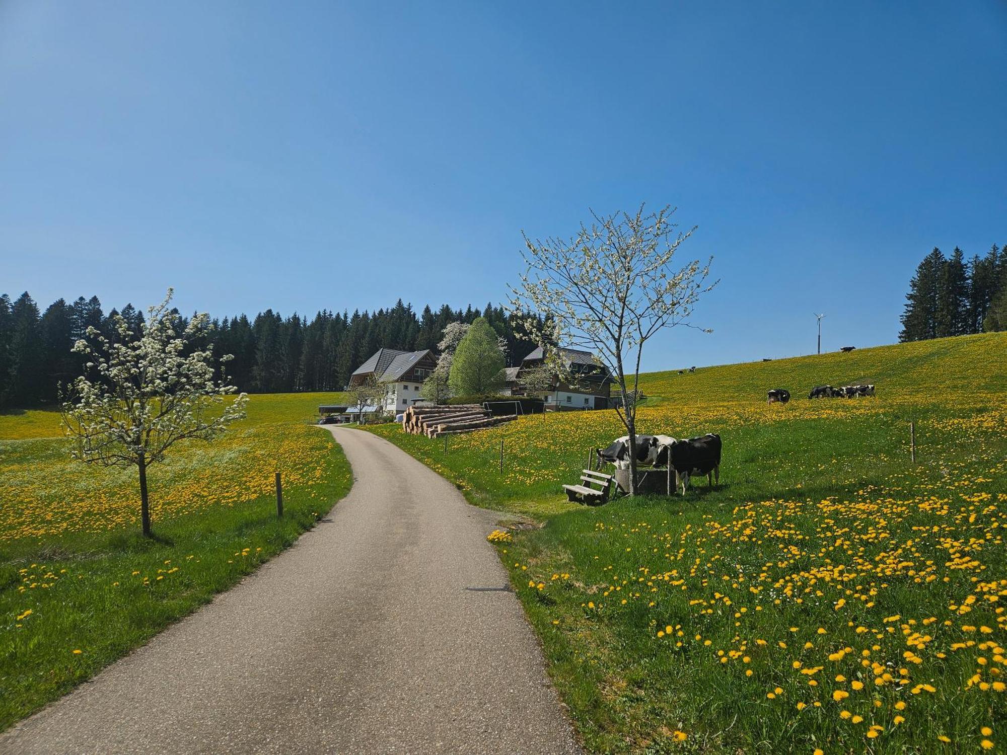 Lorenzenhäusle Titisee-Neustadt Exterior foto